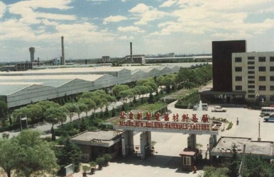 1985��